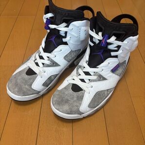 NIKE ナイキ エアジョーダン6 AJ6 26.5 フリント