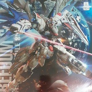 MG フリーダムガンダム Ver2.0 未組立