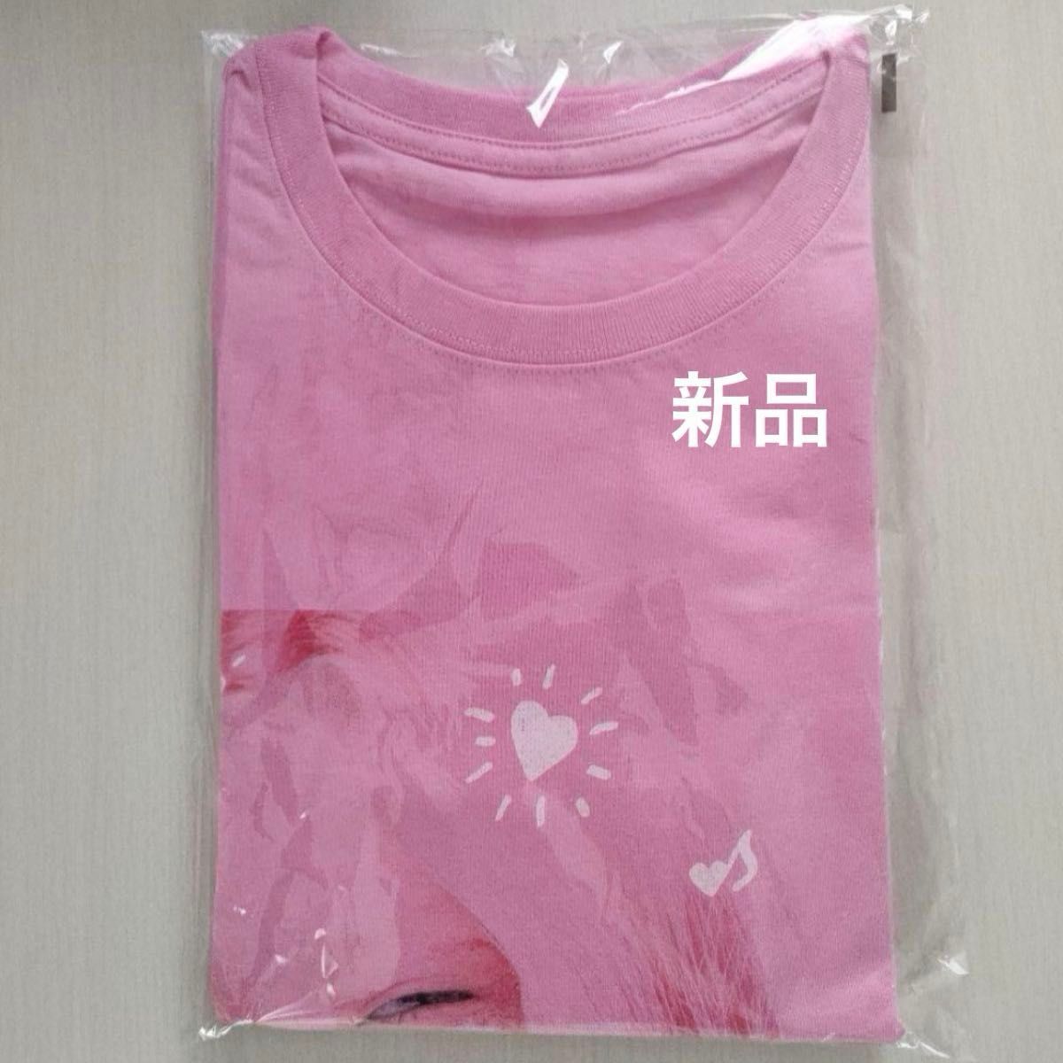 【新品未開封】HANA ロゴTシャツ XL 花 BMSG ちゃんみな 新品・未開封 HANA ハナ ロゴ Tシャツ Lサイズ BMSG 公式 ノノガ