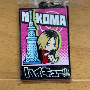 ハイキュー 1点