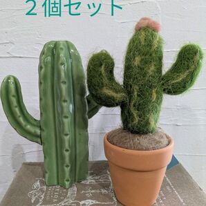 サボテンの置物 陶器製 インテリア グリーン 2個セット