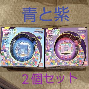 たまごっちパラダイス パープルスカイ ブルーウォーター 2種類セット たまラボファイル付き 新品未開封