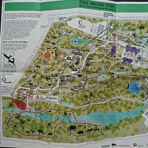 【AIKU-YA】ニューヨーク 地図 ブロンクス動物園 ジャンクジャーナル素材にも コラージュ