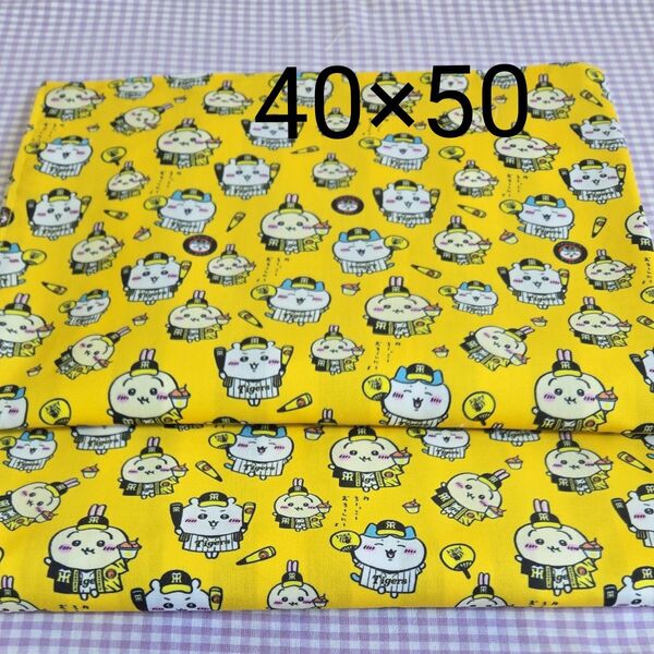 専用 へんてこ様 ランチョンマット40×50 2枚