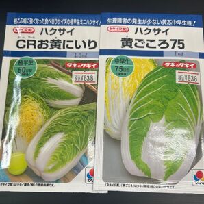ハクサイ種 CRお黄にいり1袋 黄ごころ75 1袋 未開封