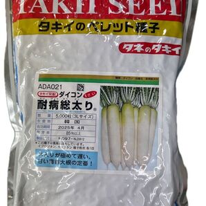 大根種ペレット5000粒 耐病総太り タキイ交配 未開封