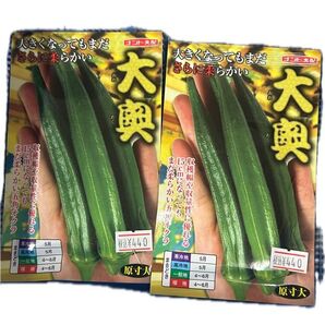 大奥オクラ種 60粒×2 未開封