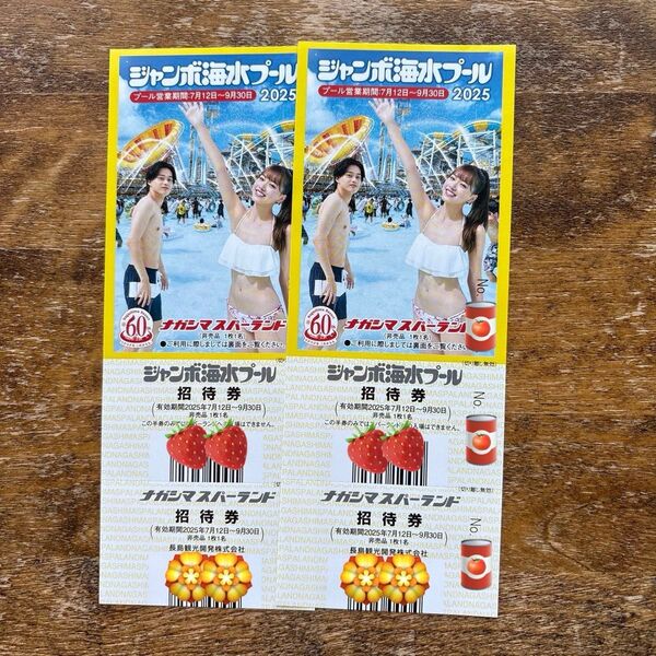 ナガシマスパーランド ジャンボ海水プール 大人2名様 匿名配送