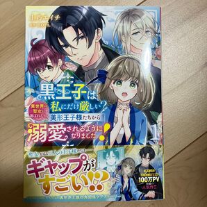 黒王子は私にだけ厳しい?異世界の聖女に選ばれたら、美形王子様たちから溺愛されるようになりました! 1