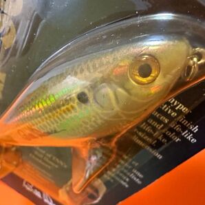 Heddon /ヘドン ★SPIT'N IMAGE /スピッティンイメージ ★オールド
