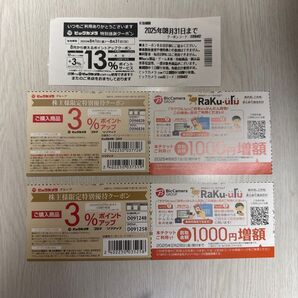 ビックカメラ ポイントアップクーポン