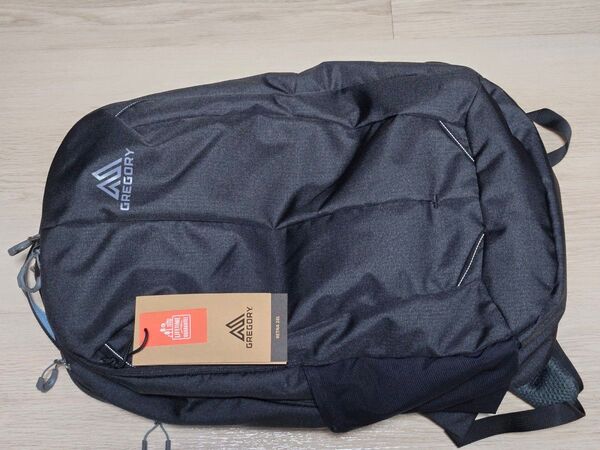 【新品・未使用】 グレゴリー レトナ28 カーボンスカイ 28L GREGORY バックパック