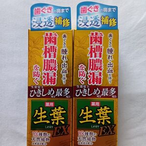 生葉 薬用歯磨き EX 100g