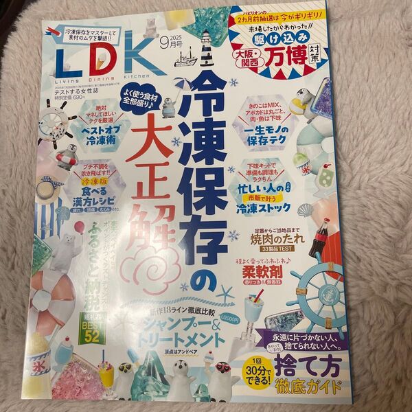 LDK (9月号 2015) 月刊誌/晋遊舎