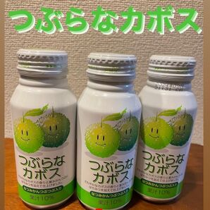 ジュース"つぶらなカボス"2箱セット(計60本)