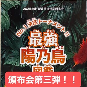 新政 頒布会2025 第三弾 箱・ノベルティなどフル完備 入手困難 7月31日解禁分