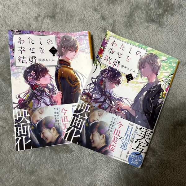 わたしの幸せな結婚 顎木あくみ 小説 二 三