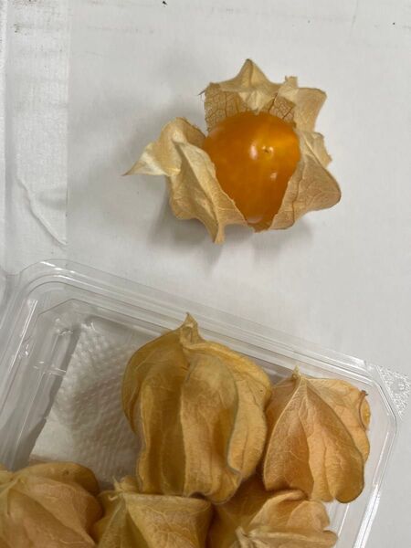 愛知県産食用ほおずき、ストロベリートマト500g