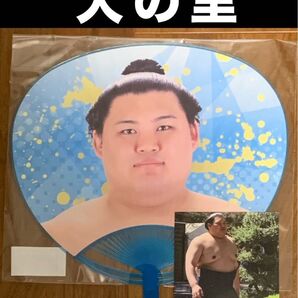 大相撲 ★ 横綱/大の里 ★ 力士応援うちわ ver.2大銀杏 <新品>生写真付