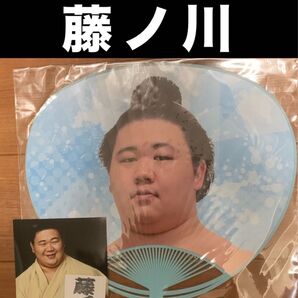 大相撲 ★ 若碇→藤ノ川 ★ 力士応援うちわver.2 <新品>おまけ付き
