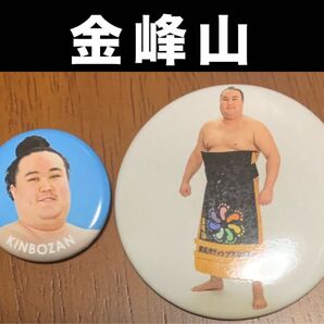 大相撲 ★ 金峰山 ★ 非売品限定力士缶バッジ & 化粧廻し姿缶バッジ