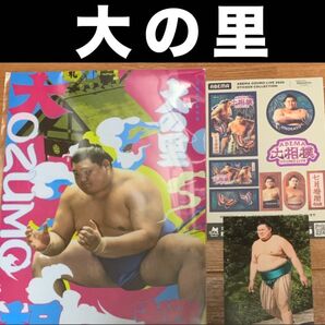 大相撲 ★ 横綱/大の里 ★ デザインクリアファイル&七月場所最新ABEMAシール&生写真付き