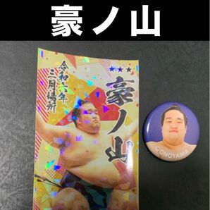 大相撲 ★ 豪ノ山 ★ 国技館すも〜る非売品/限定力士缶バッジ & 非売品キラキラステッカー