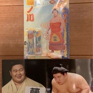 大相撲 ★ 若碇→藤ノ川/祝新入幕 ★ 国技館限定アクリルスタンド<新品>おまけ付き