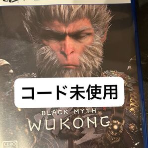 PS5 黒神話:悟空 特典コード未使用 wukong
