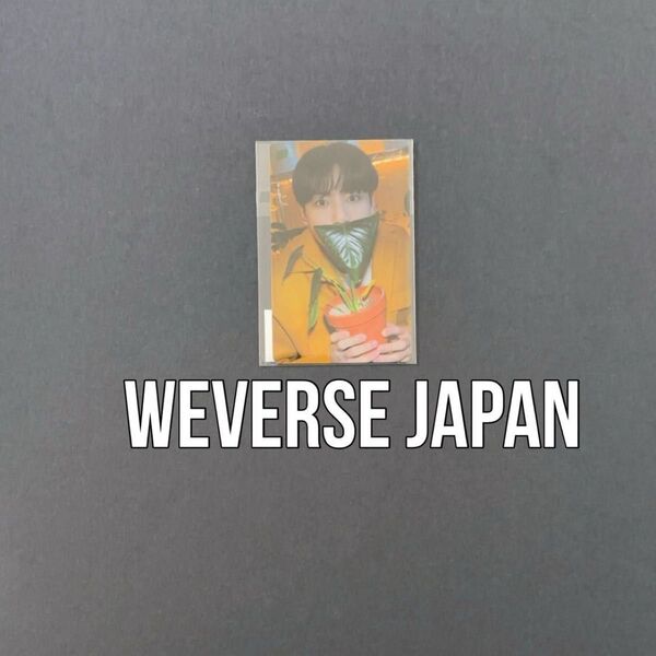 Weverse Japan BTS PERMISSION TO DANCE アルバム購入特典 ジョングク