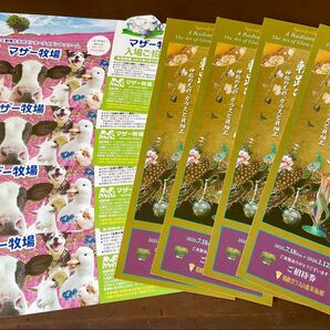 マザー牧場&箱根ガラスの森美術館 各4枚ずつの set!