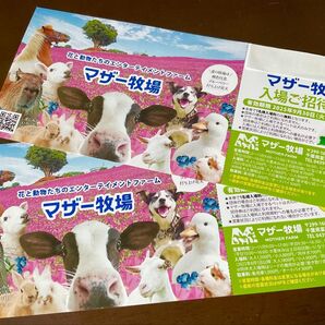’25 /9.30 迄 ◇ 千葉県 マザー牧場 ◇ 入園券2枚 set!