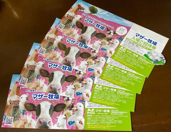 ’25 /9.30 迄 ◇ 千葉県 マザー牧場 ◇ 入園券4枚 set!