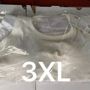 【大きいサイズ】エアリズムコットンオープンバックホルターブラトップ 3XL 白