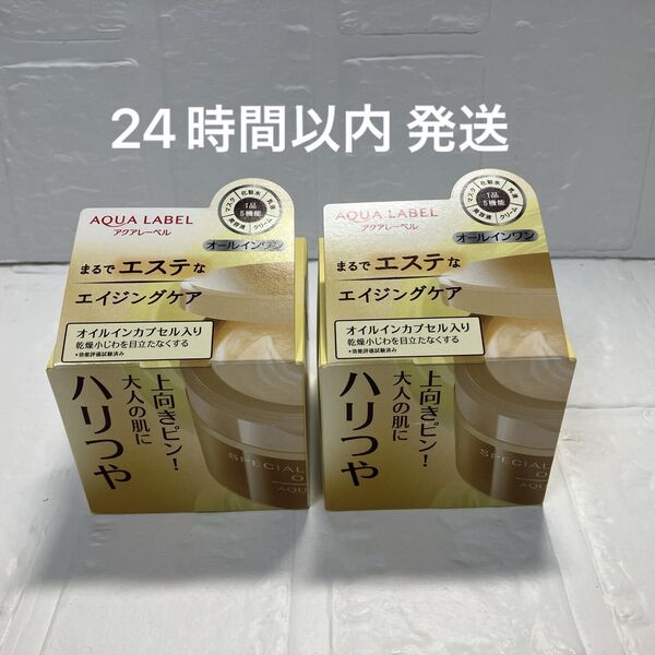 アクアレーベル スペシャルジェルクリーム A オイルイン 90g(ハリつやジェルクリーム)2個