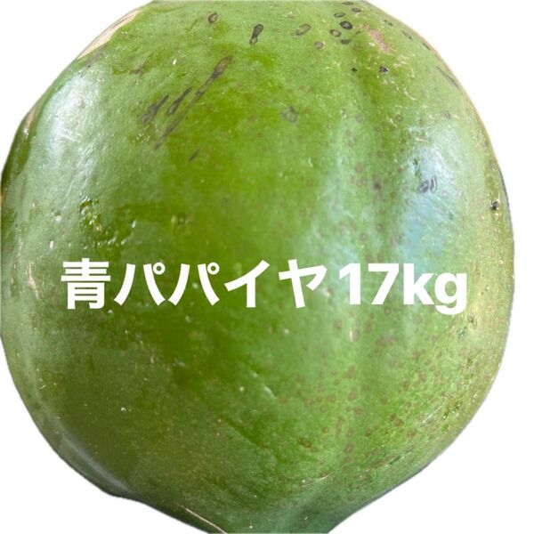 青パパイヤ17kg