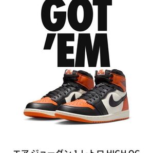 新品未使用の国内正規品 Nike Air Jordan 1 Shattered Backboard 27.5 ジョーダン シャタバ