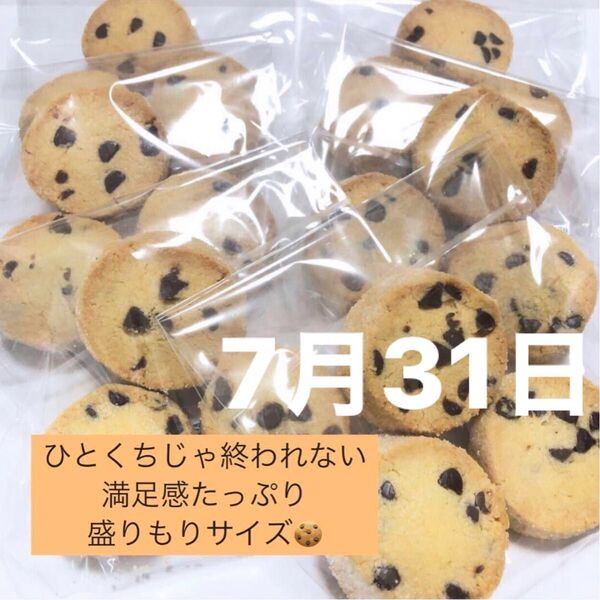 エンジェルキャット☆ディアマンクッキー☆チョコチップ 6