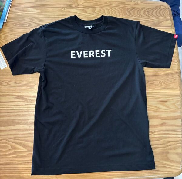 The north face エベレスト Everest Tシャツ ブラック Mサイズ