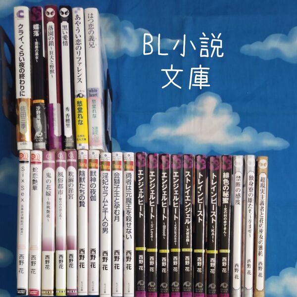 TYX03 BL小説文庫 作家順 27冊 バラ可