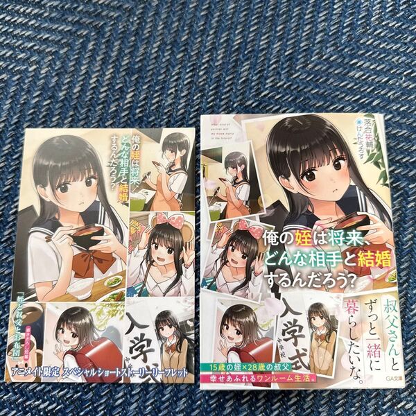 中古本 俺の姪は将来、どんな相手と結婚するんだろう? (GA文庫 お-12-01) 落合祐輔/著