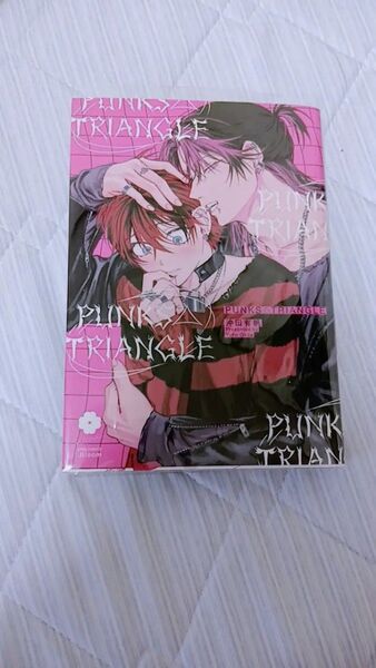 PUNKS△TRIANGLE