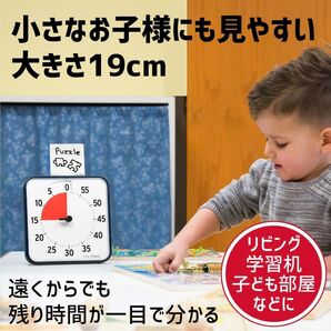 【時間管理◎習慣化に】目視 カウントダウンタイマー 学習 勉強 【TIME TIMER 60分タイプ TT08B-W】ADHD