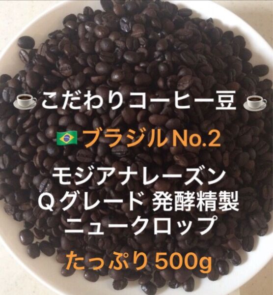 こだわりコーヒー豆 ブラジルNo.2 モジアナレーズン たっぷり500g 中深煎り 自家焙煎 Qグレード ナチュラル発酵精製仕立て