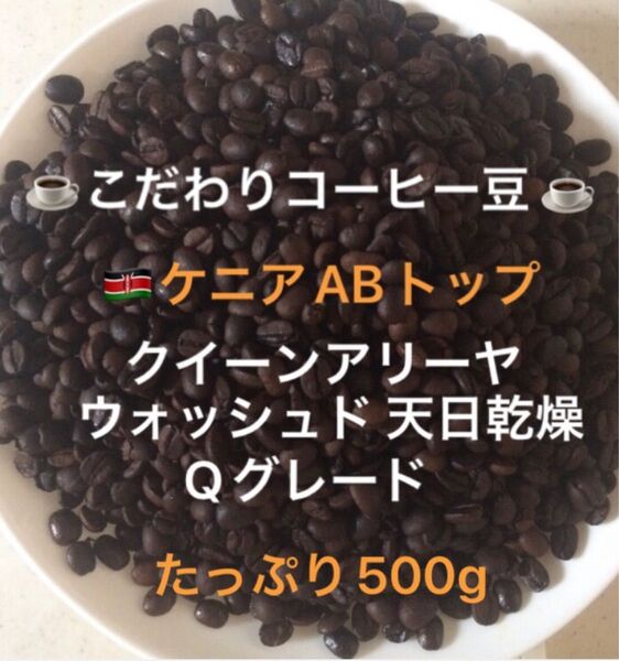 こだわりコーヒー豆 ケニアAB トップ クイーンアリーヤ たっぷり500g 中深煎り 自家焙煎 Qグレード ウォッシュド 天日乾燥