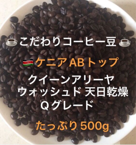 こだわりコーヒー豆 ケニアAB トップ クイーンアリーヤ たっぷり500g 中深煎り 自家焙煎 Qグレード ウォッシュド 天日乾燥
