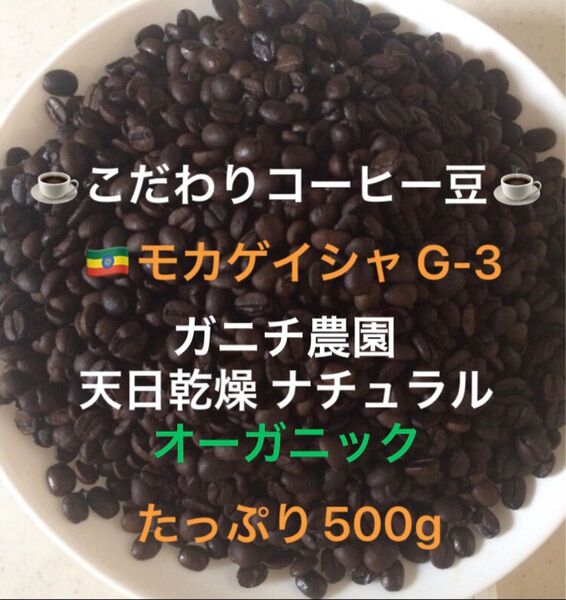 こだわりコーヒー豆 モカゲイシャ G-3 たっぷり500g 中深煎り 自家焙煎珈琲 オーガニック ナチュラル 天日乾燥