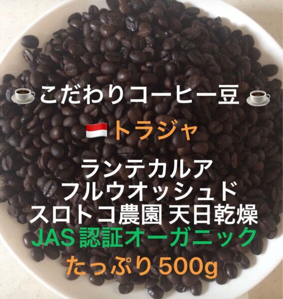 こだわりコーヒー豆 トラジャ ランテカルア たっぷり500g JAS認証オーガニック スロトコ農園 中深煎り 自家焙煎ウォッシュド
