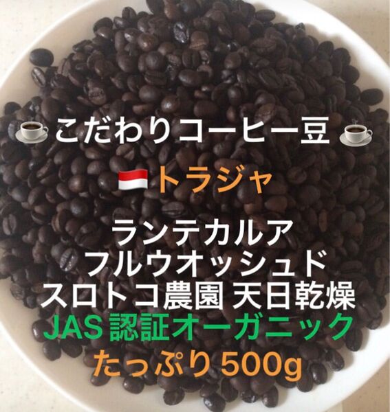 こだわりコーヒー豆 トラジャ ランテカルア たっぷり500g JAS認証オーガニック スロトコ農園 中深煎り 自家焙煎ウォッシュド