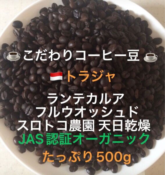 こだわりコーヒー豆 トラジャ ランテカルア たっぷり500g JAS認証オーガニック スロトコ農園 中深煎り 自家焙煎ウォッシュド